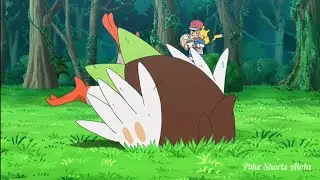Rowlet Vs Dartrix