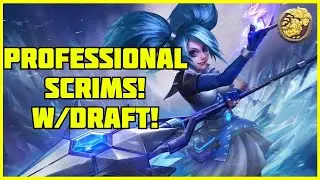 PROFESSIONAL DAMAGE PALADINS SCRIM - Pro Evie Gameplay #2