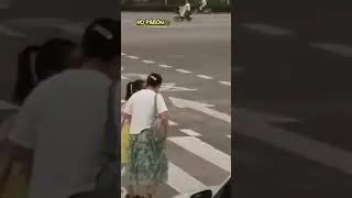 Посадила её на спину и перенесла до конца перехода 
