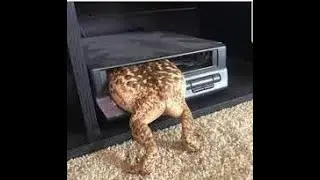 OMG STEP BRO IM STUCK