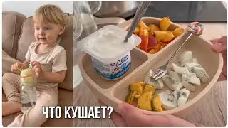 ЧТО ЕСТ МОЙ 1,5 ГОДОВАЛЫЙ РЕБЕНОК В ТЕЧЕНИИ ДНЯ🥑🍌🍎 ДЕТСКОЕ МЕНЮ🍼