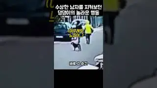 "어쭈 수상한대?".. 길거리 댕댕이가 남자에게 달려든 이유