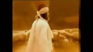 #Shortvideo SARI SALTUK