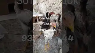 23 января 2023 г.