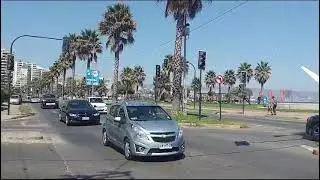 VIÑA DEL MAR, CHILE 🏝️🏖️