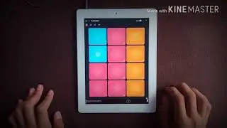 Super Pads | Playing Coldplay - Paradise | Kit - Flamingo