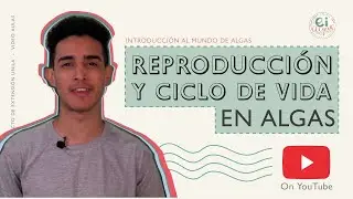 Reproducción y Ciclo de Vida en ALGAS - INTRODUCCIÓN AL MUNDO DE LAS ALGAS; MÓDULO O1: AULA 04