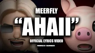 MeerFly  - 