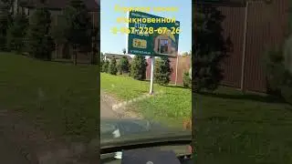 Стриженные сосны, лучшие смотряться