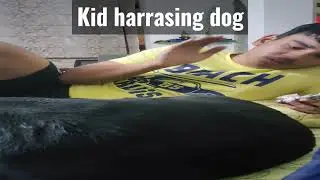 Kid harrassing dog