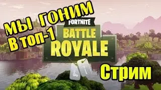 Fortnite - гоним в топ-1