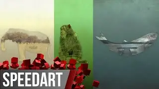 3 Free Backgrounds | Speedart