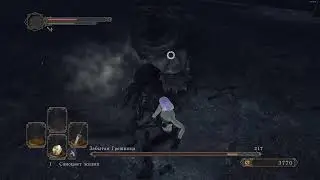 DS2