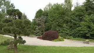 Ein Himalaya-Garten bei Regensburg | MDR Garten