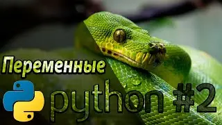 Python с нуля #2 / Работа с переменными