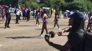 2019 Prancing JSettes SHC Parade