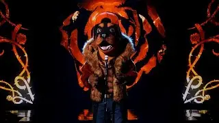 Rottweiler 
