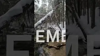 Река Пемба - другой мир #shorts