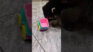 ▷Енотодоставка еды◁