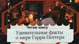 АСМР|Чтение|Шепот|Факты о мире Гарри Поттера|Книга|