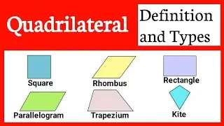 Quadrilateral Definition and Types of quadrilateral