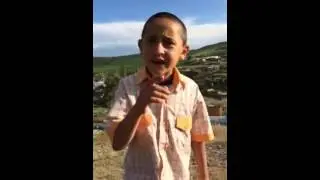 Renkli renkli cücükler..çok komik