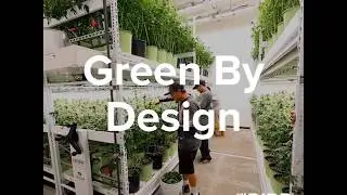 Vertical Grow Racks: How Pipp Horticulture's Mobile Rack Systems Are Green By Design