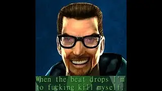 totally normal hl2 gameplay