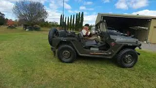 My Aussie Dad is checking the garden !