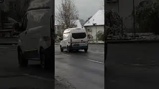 Kraniche