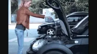 Жуки и профессор Лебединский   Комарики