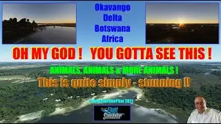 MICROSOFT FLIGHT SIMULATOR 2020 - BOTSWANA AFRICA - THE OKAVANGO DELTA BY SIMWORKS STUDIOS
