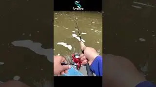 Akibat terburu-buru & terlalu percaya diri 😂 #simancing #fishing #mancing