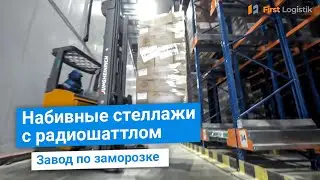 Набивные стеллажи с системой обработки паллет шаттл для низкотемпературных складов