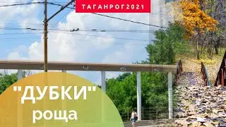 Роща Дубки Таганрог (2021)