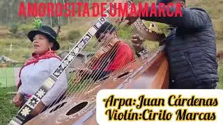 ARPA Y VIOLIN / Amorosita de Umamarca💐