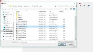 Delphi 10.2 Tokyo  Chromium Error