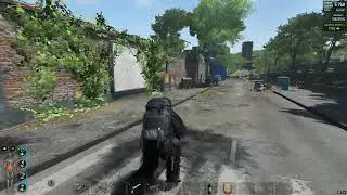 SCUM Эвент опасный преступник - Ниган