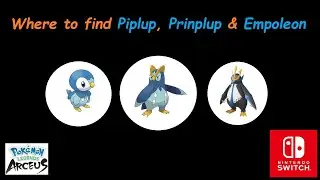 Where to find Piplup, Prinplup and Empoleon in one run! (if you 're lucky) Pokemon legends Arceus