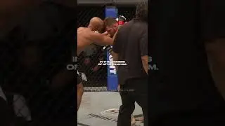 Herb Dean & Bisping On Silva's Knee