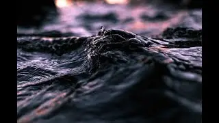 palence - invar