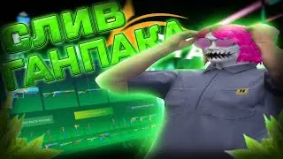 СЛИВ ГАНПАКА С СКИНАМИ ИЗ ЛЕТНЕГО ПРОПУСКА GTA 5 RP