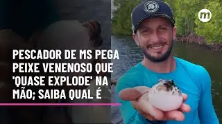 Pescador de MS pega peixe venenoso que 'quase explode' na mão; saiba qual é