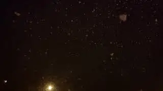 30 марта 2019 г.(3)