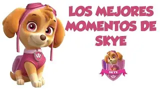 Skye Patrulla Canina Paw Patrol🐾💕