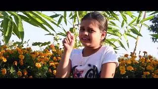 Shashvat concept school- Documentary Trailer