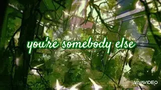 You're Somebody Else - Flora Cash (lyrics)