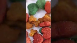 10 Best Large Breed Puppy Foods #shorts