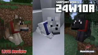 Minecraft 1.20.5 Snapshot 24w10a - NEW Wolf variants showcase