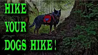 Tips on how to 